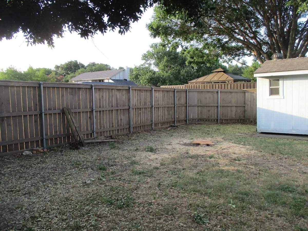 Cleared yard after professional tree removal in Ibapah